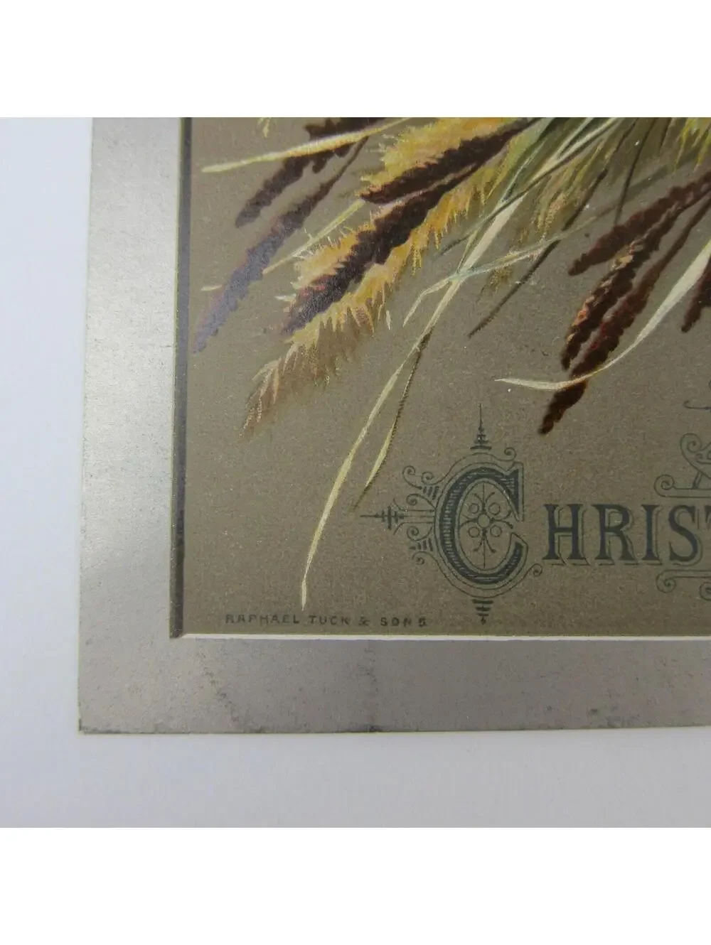 Victorian Christmas Card Flowers Yellow & White Raphael Tuck & Sons Antique